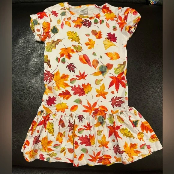 Gray Elephant | Dresses | Gray Elephant 3t Short Sleeve Fall Leaf Dress |  Poshmark